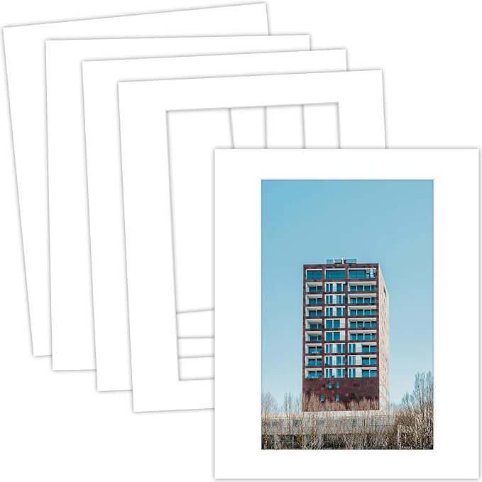 MBC Mat Board Center, 5 Pack 16x20 by MatBoardCenter