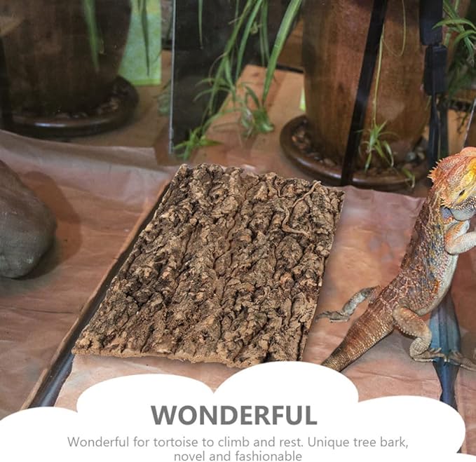 Totority Cork Bark 3Pcs Plants Decor Cork Terrarium Background, Cork Tile - Image 2