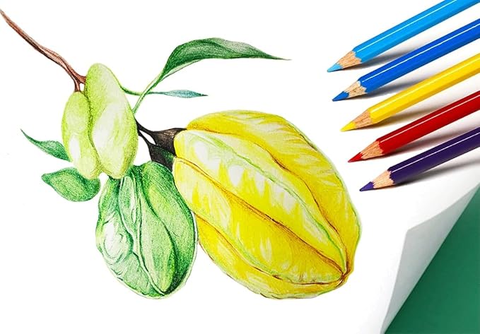 SKKSTATIONERY 50Pcs Colored Pencils, 50 Vibrant Colors, Drawing Pencils - Image 7