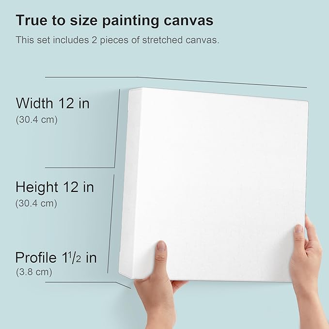 PHOENIX 12x12 Inch 2 Pack Gallery Canvas - Image 2