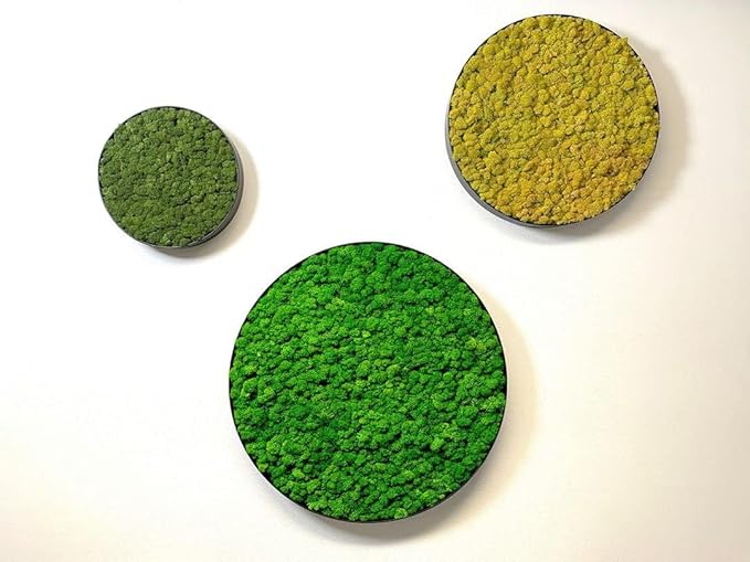 Preserved Reindeer Moss Natural Green DIY Kit Gardenning Art Wall Decor Florist - Image 6