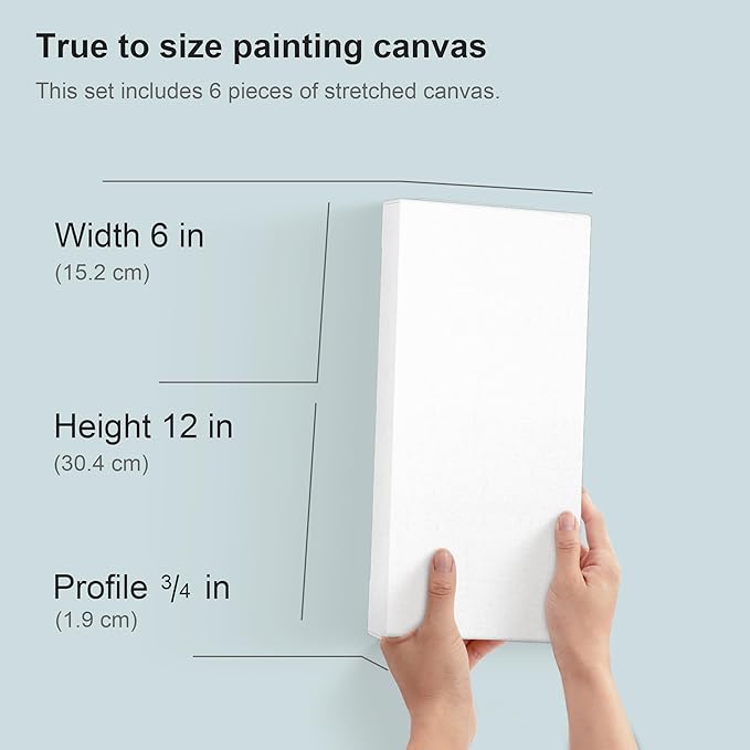 PHOENIX 6x12 Inch 6 Pack Artist Canvas - Image 2