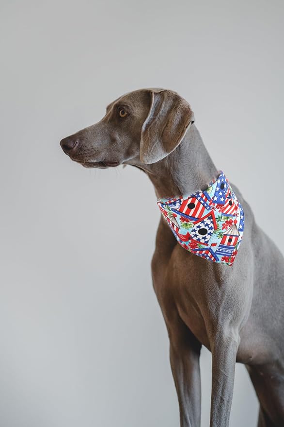 American Flag Dog Bandana 6th of July Pet Clothes Patriotic Reversible Triangle Bibs Scarf Accessories for Cats Animals