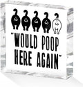 Funny Cat Bathroom Decor Acrylic Decorative Signs 4X4 Inch, Humorous Decorations by Unknown