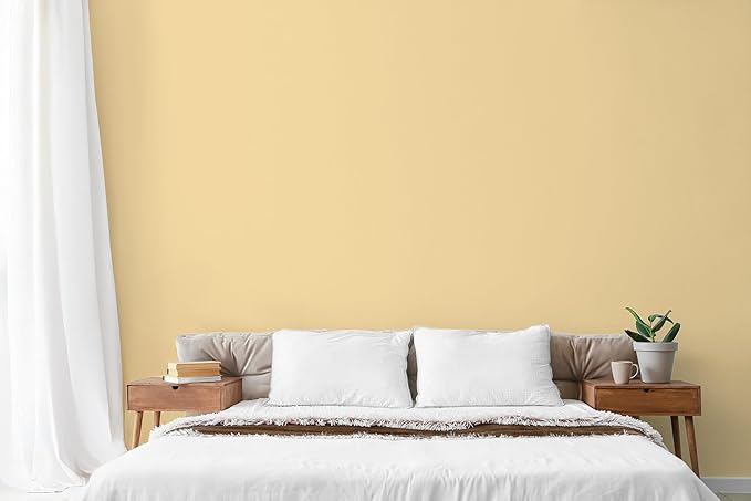 EVOLVE Paint & Primer: Environment-friendly, Low Sheen - Image 4
