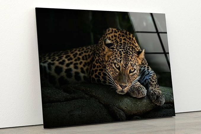 My Photostation.com 28Wx18H'' Fierce Leopard Glass Wall ArtTempered Glass - Image 3