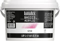 Liquitex BASICS Gesso Surface Prep Medium, 1.89L Tub by Liquitex