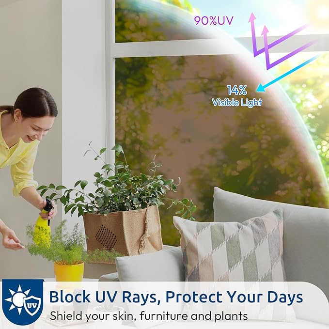 rabbitgoo Window Privacy Film One Way Window Tint - Image 3
