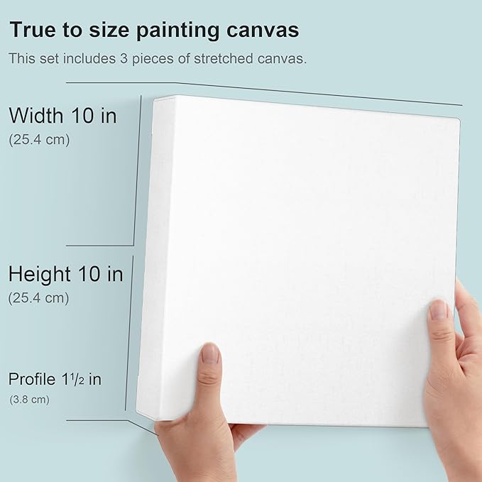 PHOENIX 10x10 Inch 3 Pack Gallery Canvas - Image 2