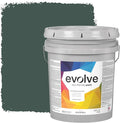 EVOLVE Paint & Primer: Environment-friendly, Low Sheen by EvolveColors