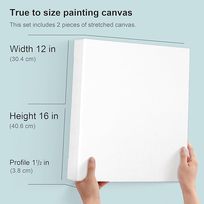 PHOENIX 12x16 Inch 2 Pack Gallery Canvas - Image 2