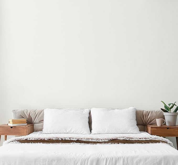 EVOLVE Paint & Primer: Environment-friendly, Eggshell - Image 4