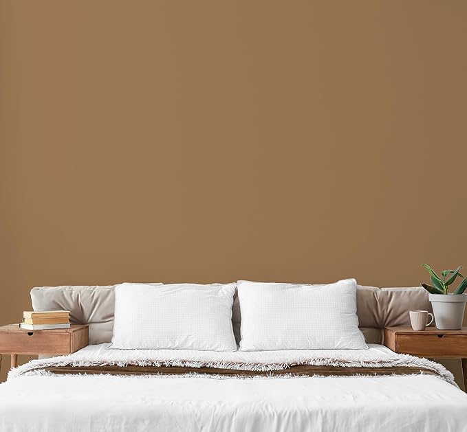 EVOLVE Paint & Primer: Environment-friendly, Low Sheen - Image 4