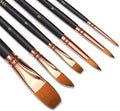 Paint Brush Set 6 Different Shapes by Unknown