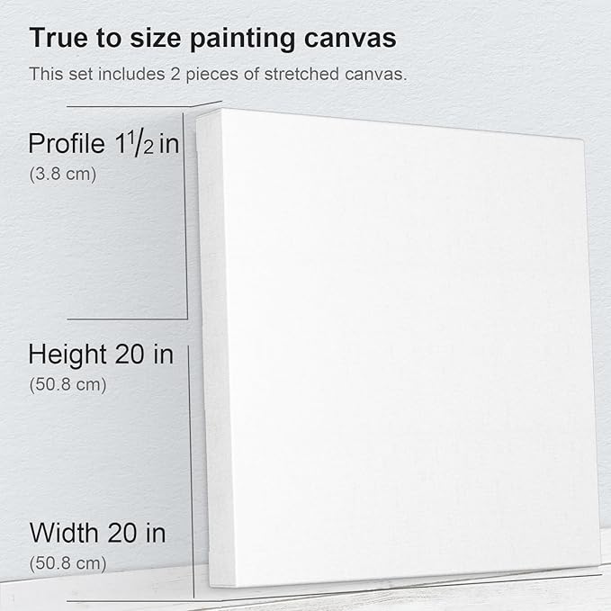 PHOENIX 20x20 Inch 2 Pack Gallery Canvas - Image 2