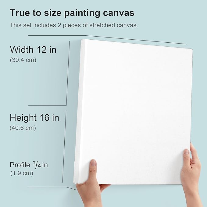 PHOENIX 12x16 Inch Pack of 2 Artist Canvas - Image 2