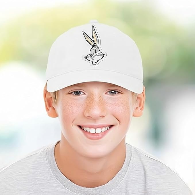 ABG Accessories Superman Hats for Men Baseball Cap