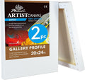 PHOENIX 20x24 Inch 2 Pack Gallery Canvas by PHOENIX