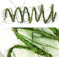 118 inch Medium Malleable Artificial Green Tree Branches Grapevine Garland Fake by CONGZHANHH
