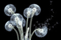 Empire Art Direct Frameless Free Floating Tempered Glass Panel Graphic Wall Art by EmpireArtDirect