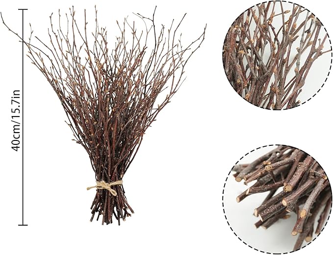 Uieke 100PCS Natural Dried Birch Twigs - Image 2