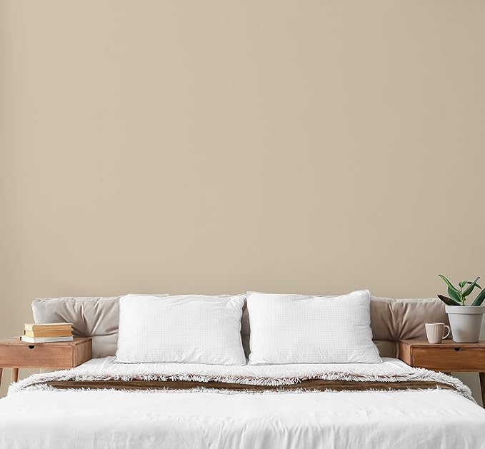 EVOLVE Paint & Primer: Environment-friendly, Low Sheen - Image 4