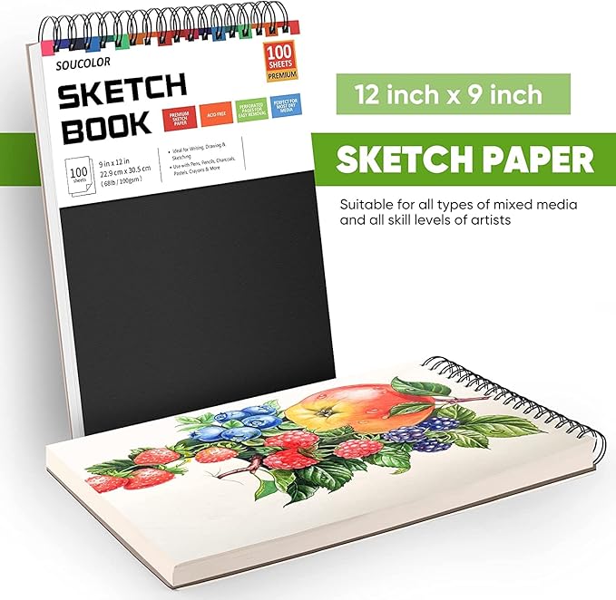 Professional Drawing Supplies for Sketch, Pastel Pencils & Sticks. Soucolor - Image 5