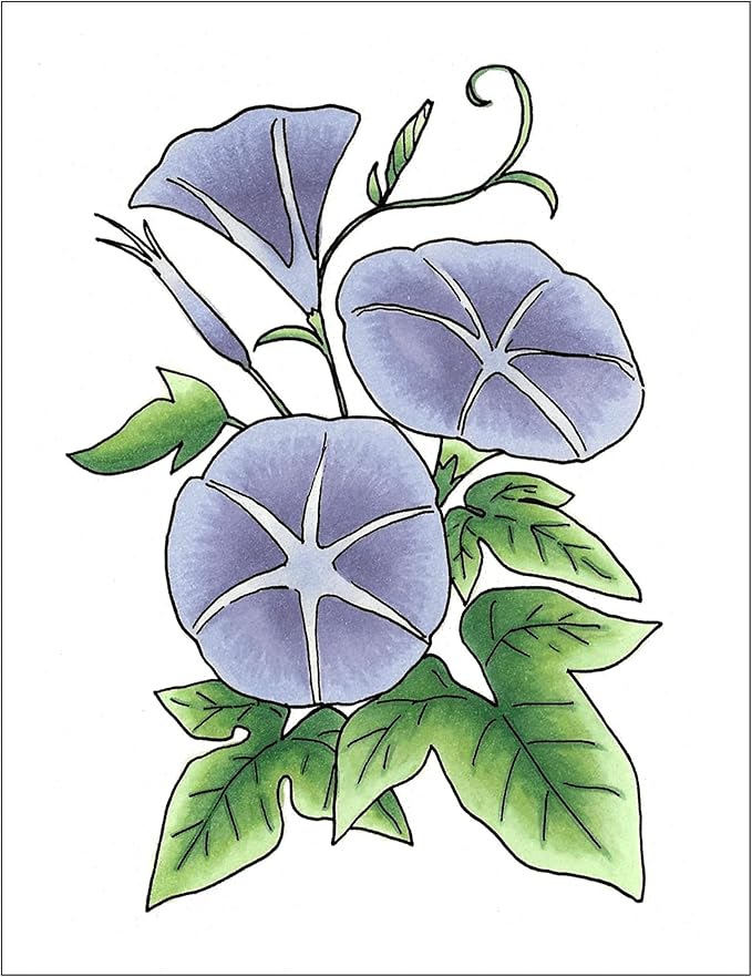 Copic Sketch, Alcohol-based Markers, Color Fusion #1 - Image 3
