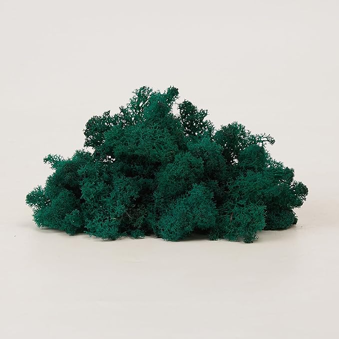 Preserved Reindeer Moss Natural Green DIY Kit Gardenning Art Wall Decor Florist - Image 8