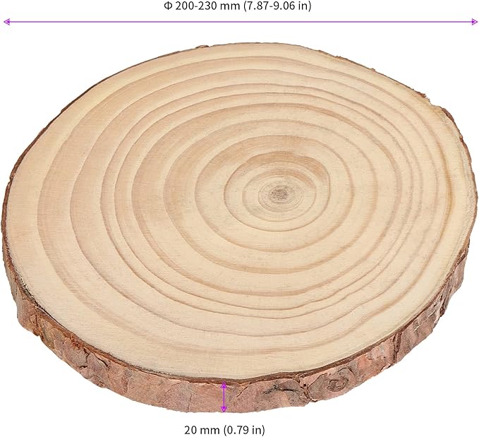 JEUIHAU 8 PCS 8-9 Inches Natural Wood Slices, Unfinished Predrilled Wooden - Image 2