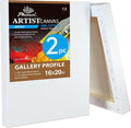 PHOENIX 16x20 Inch 2 Pack Gallery Canvas by PHOENIX