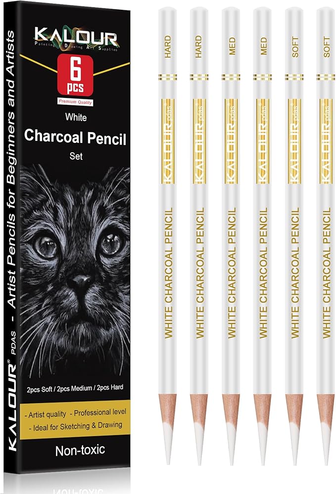 KALOUR White Charcoal Pencils Drawing Set, Professional 6 Pieces White Sketch by KALOUR