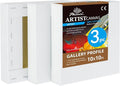PHOENIX 10x10 Inch 3 Pack Gallery Canvas by PHOENIX