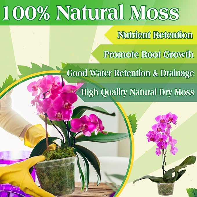 Halatool 6OZ Green Moss for Indoor Plants, 8QT Orchid Moss for Repotting - Image 5