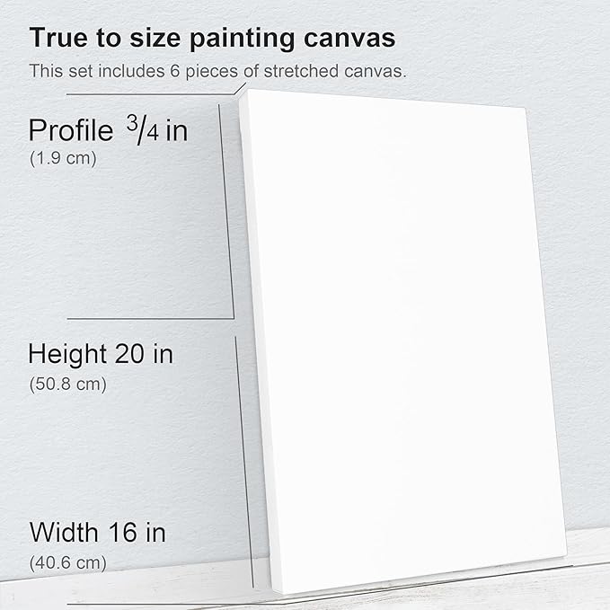 PHOENIX 16x20 Inch 6 Pack Artist Canvas - Image 2
