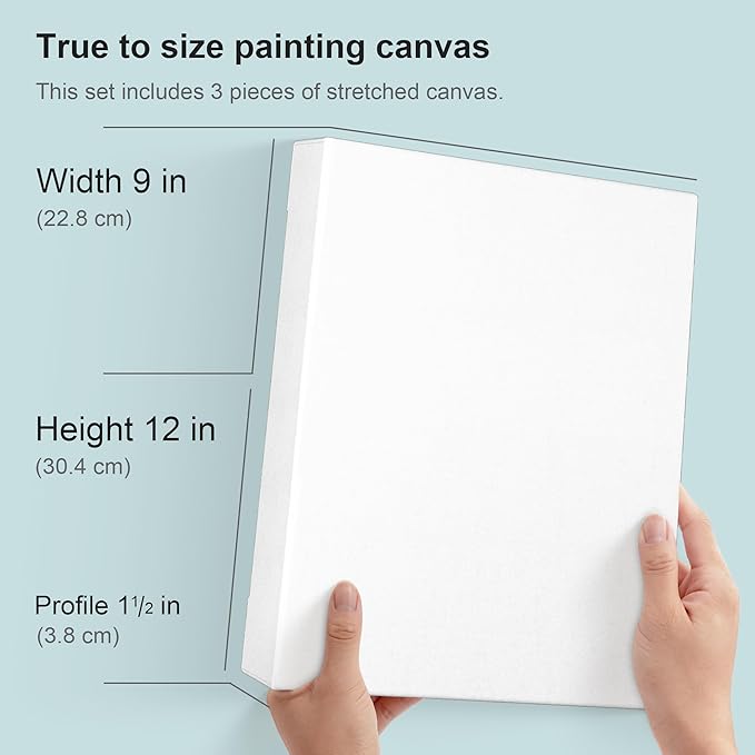 PHOENIX 9x12 Inch 3 Pack Gallery Canvas - Image 2