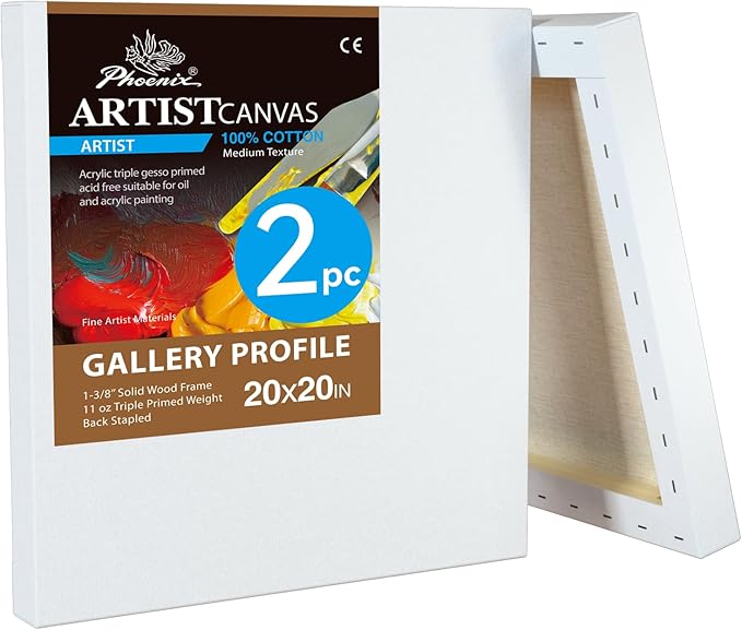 PHOENIX 20x20 Inch 2 Pack Gallery Canvas by PHOENIX