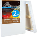 PHOENIX 22x28 Inch 2 Pack Gallery Canvas by PHOENIX