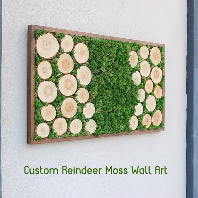 Preserved Reindeer Moss Natural Green DIY Kit Gardenning Art Wall Decor Florist - Image 3