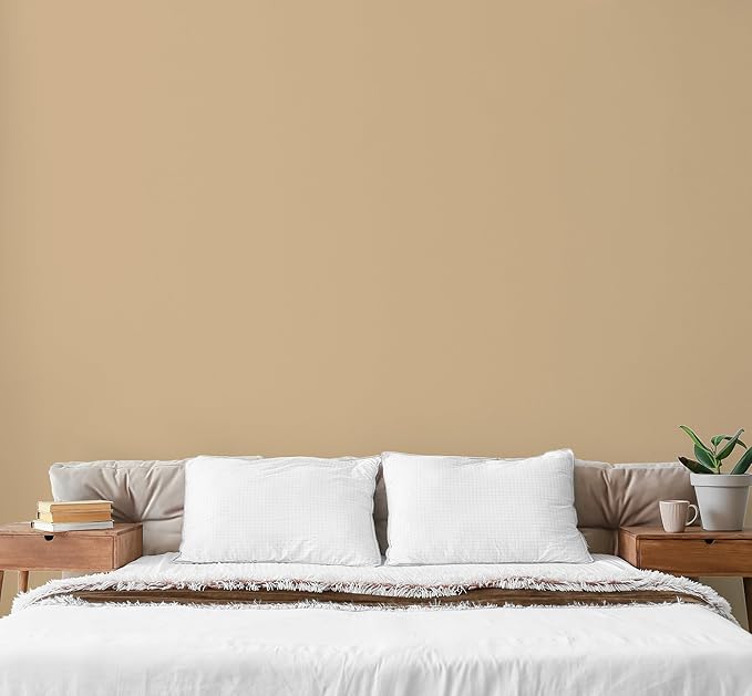 EVOLVE Paint & Primer: Environment-friendly, Low Sheen - Image 4