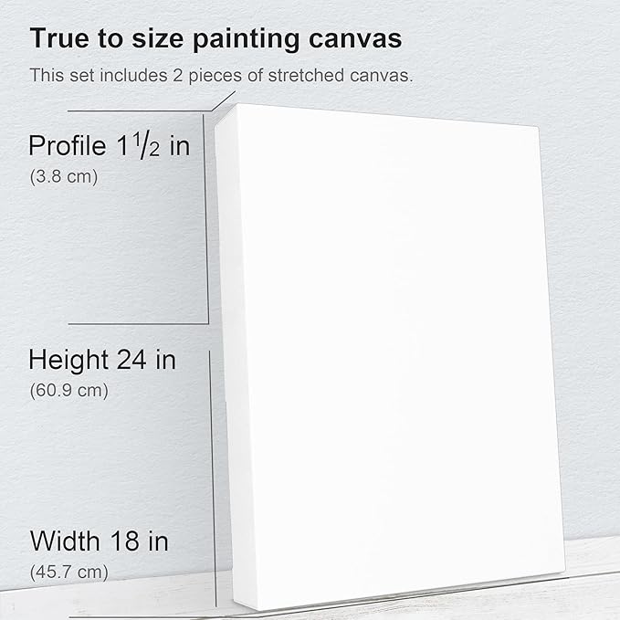 PHOENIX 18x24 Inch 2 Pack Gallery Canvas - Image 2