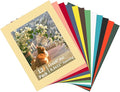 ZBEIVAN 12 Packs Mixed Colors 11x14 Picture Frame Mats by ZBEIVAN