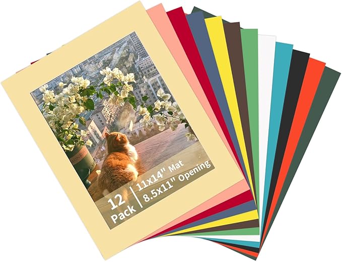 ZBEIVAN 12 Packs Mixed Colors 11x14 Picture Frame Mats by ZBEIVAN