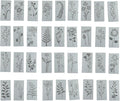 36 Pieces Flower Stencils for Painting on Walls, Reusable Floral Stencils by Unknown