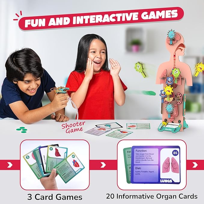 Smartivity Human Body Model for Kids 6-12 Years | Learn Body Organs, Functions - Image 3