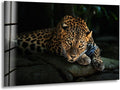My Photostation.com 30Wx24H'' Fierce Leopard Glass Wall ArtTempered Glass by MyPhotostation