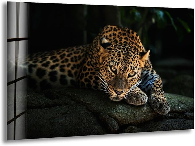 My Photostation.com 48Wx32H'' Fierce Leopard Glass Wall ArtTempered Glass by MyPhotostation