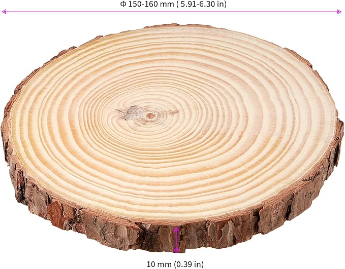 JEUIHAU 10 PCS 5.9-6.3 Inches Natural Unfinished Wood Slices, Round Wooden Tree - Image 2