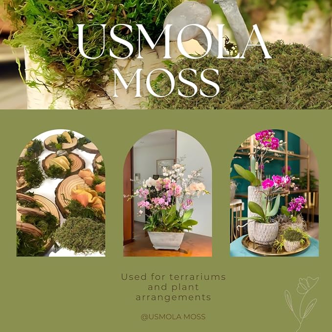 Fake Green Moss for Potted Plants, 4OZ Artificial Moss for DIY Crafts, Faux - Image 6