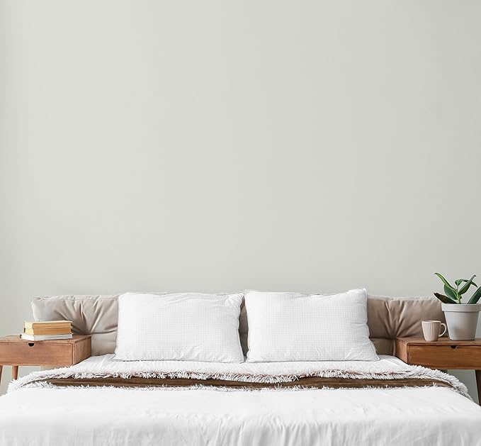 EVOLVE Paint & Primer: Environment-friendly, Low Sheen - Image 4